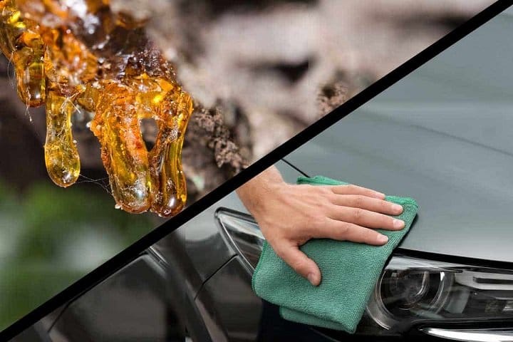 tree sap on car
