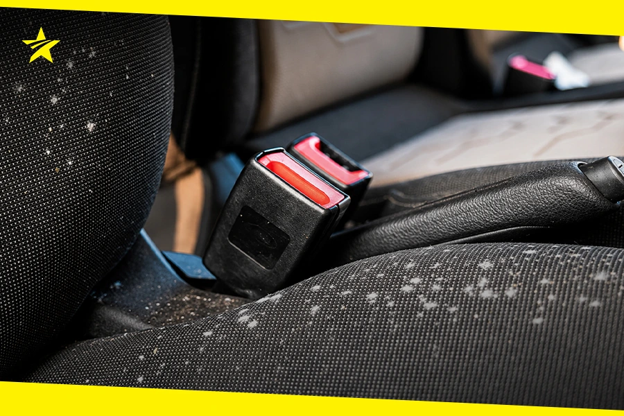 Car Mold Treatment: Why Mold Keeps Coming Back in Your Car